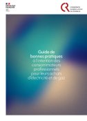 Guide de bonnes pratiques à l’intention des consommateurs professionnels pour leurs achats d’électricité et de gaz